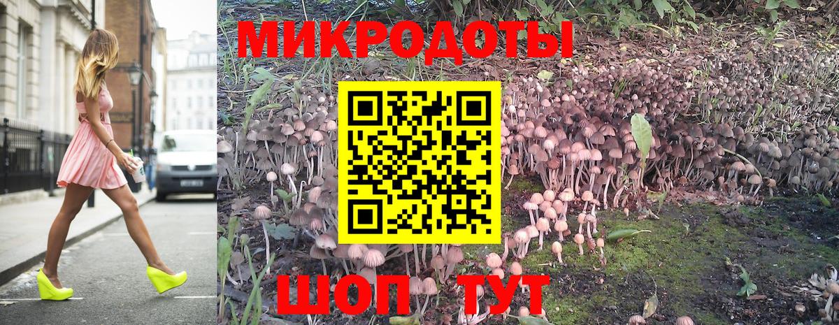 Псилоцибиновые грибы MAGIC MUSHROOMS  Вход с VPN  Железноводск 
